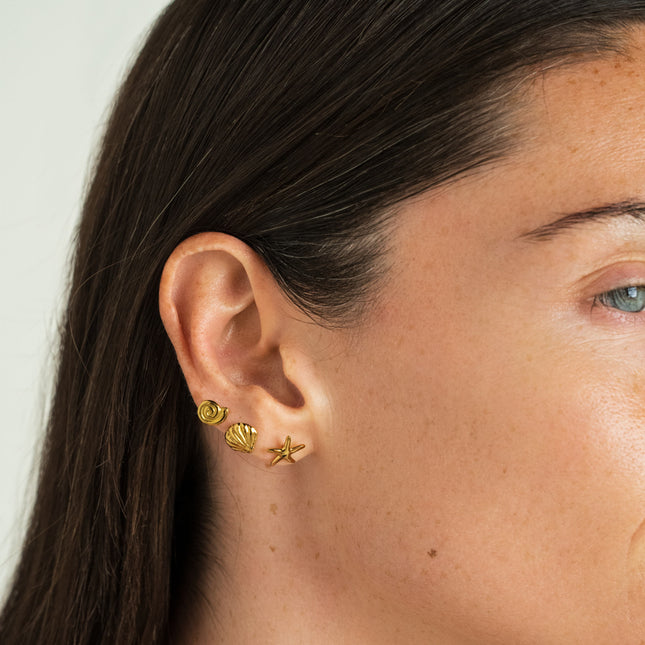Shell-shaped stud earrings