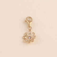 Collection image for: Charms en zirconium