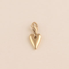 Collection image for: Charms coeur