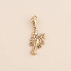 Collection image for: Charms coquillage et mer