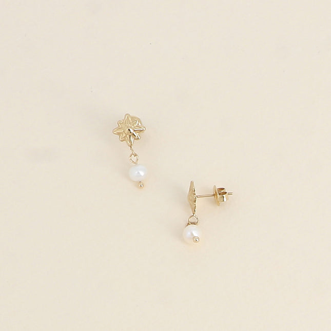 Boucles pendantes - étoile du Nord et perle d'eau douce