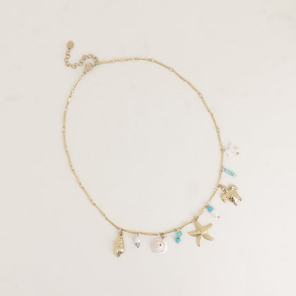 Collier - étoile de mer nacrée, coquillages, coquillage naturel, tortue