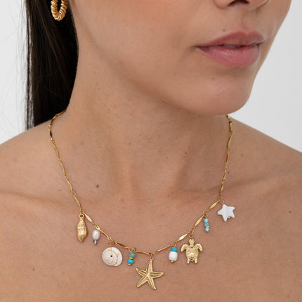 Collier - étoile de mer nacrée, coquillages, coquillage naturel, tortue