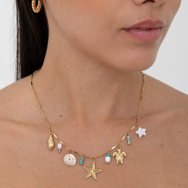 Collier - étoile de mer nacrée, coquillages, coquillage naturel, tortue