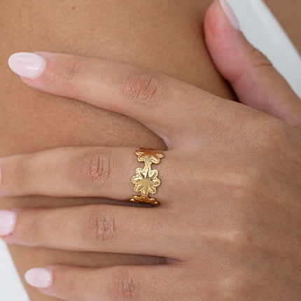 Ring - 5 stars with braided edges