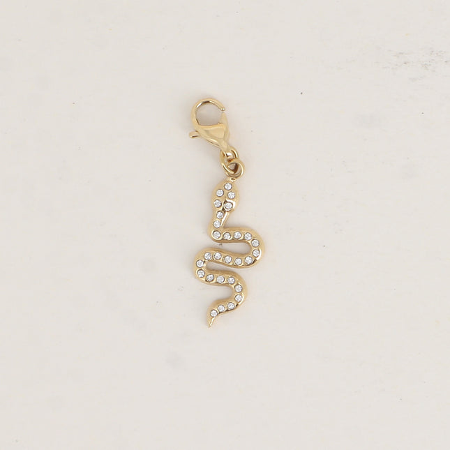 Charm - serpent et oxydes de zirconium