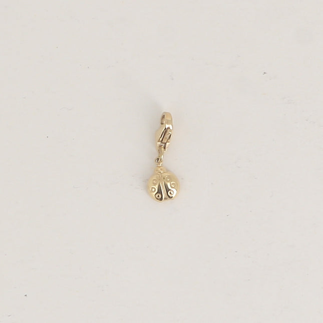 Charm - coccinelle