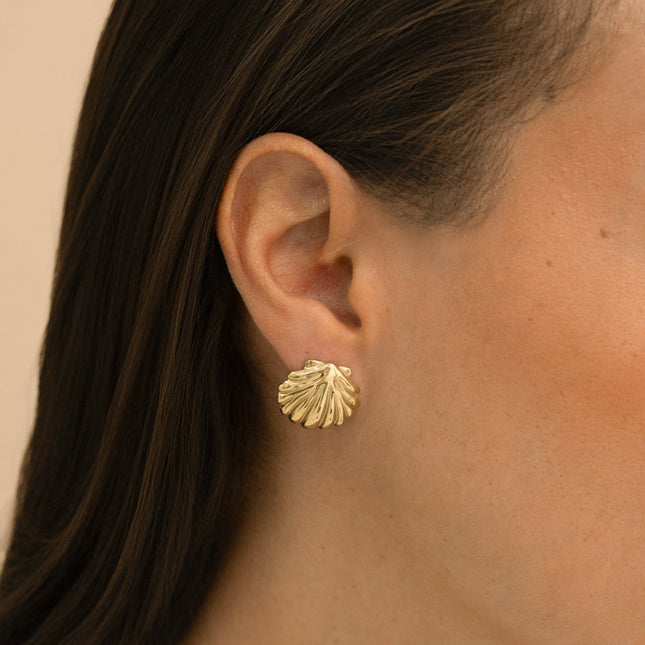 Boucles puces - coquillage