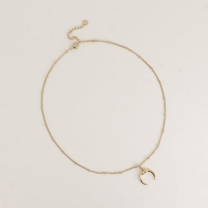 Collier - chaîne avec petites boules et pendentif corne