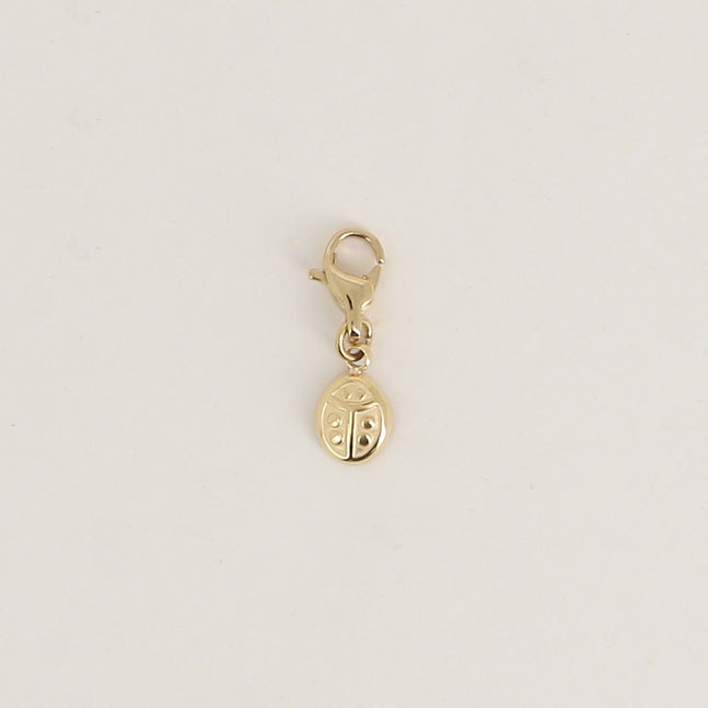 Charm - coccinelle
