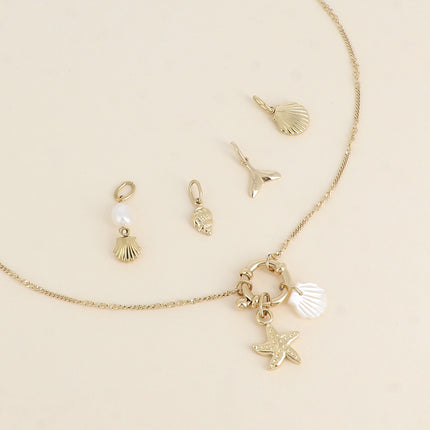 Cartelette SUMMER VIBES Collier et 6 pendentifs (étoile de mer et coquillage nacré)