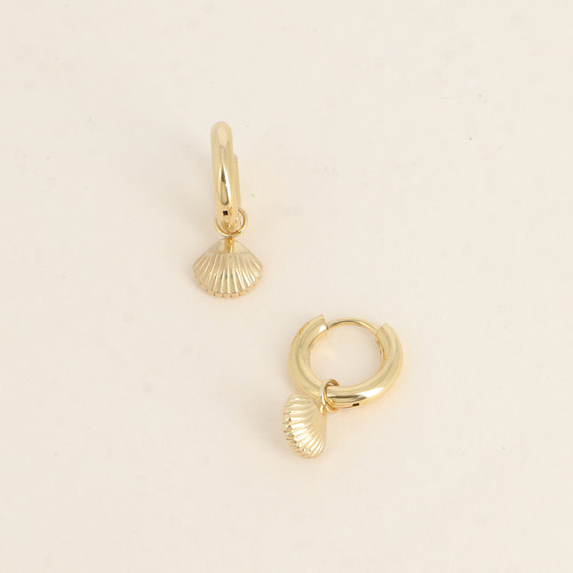 Creole - small seashell