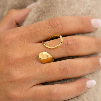 Open ring - 2 smooth shapes, one of which is openwork