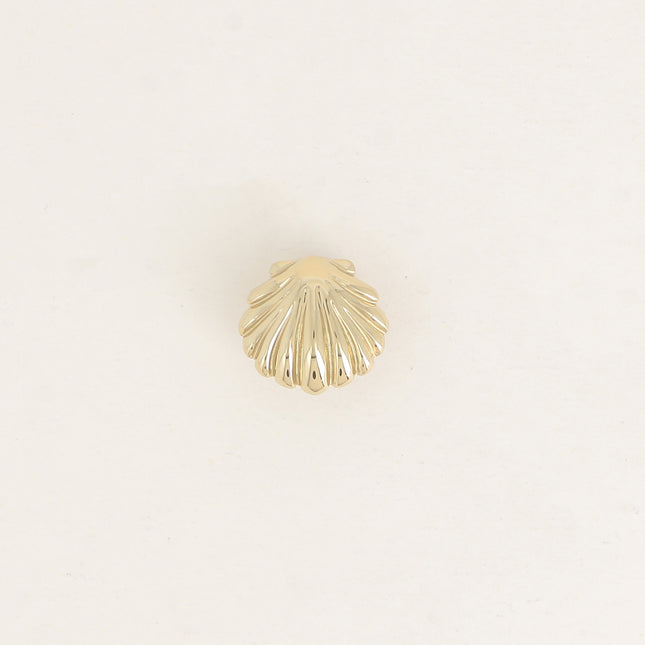Pin's - coquillage