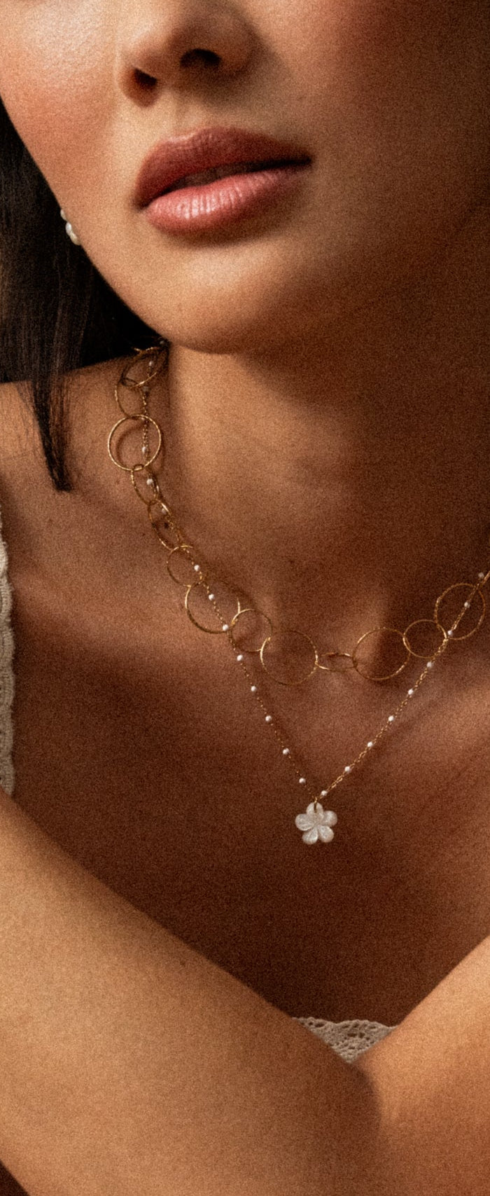 <h1>Nouvelle Collection Alba</h1>