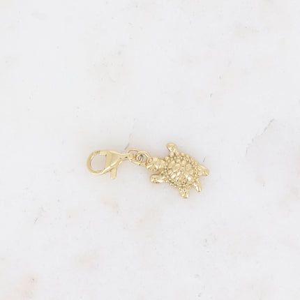 Charm - tortue