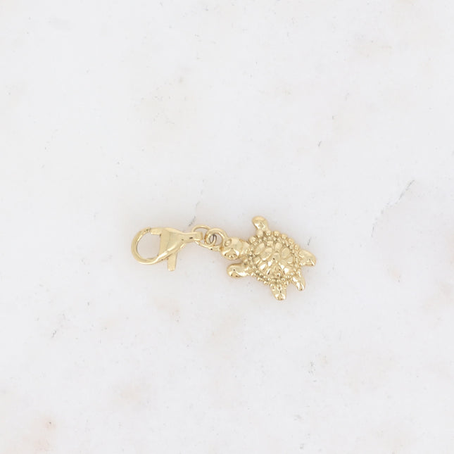 Charm - tortue