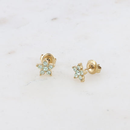 Boucles puces - étoile et oxydes de zirconium